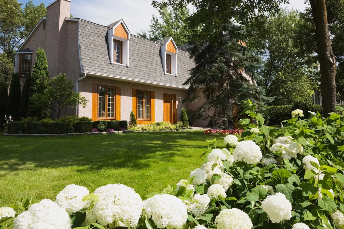 Healthy green spring lawn at a home in Greenville, NC