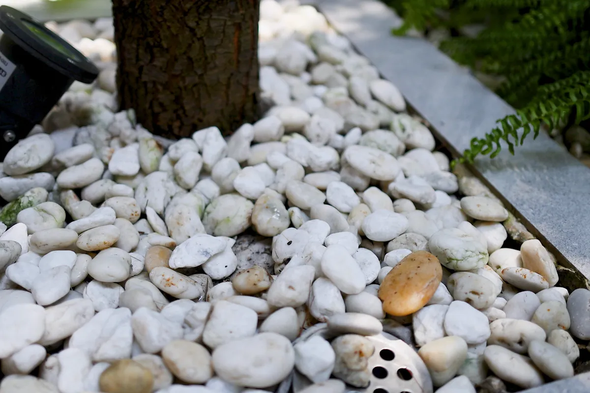 Decorative rock bordering a landscaped bed in Greenville, NC