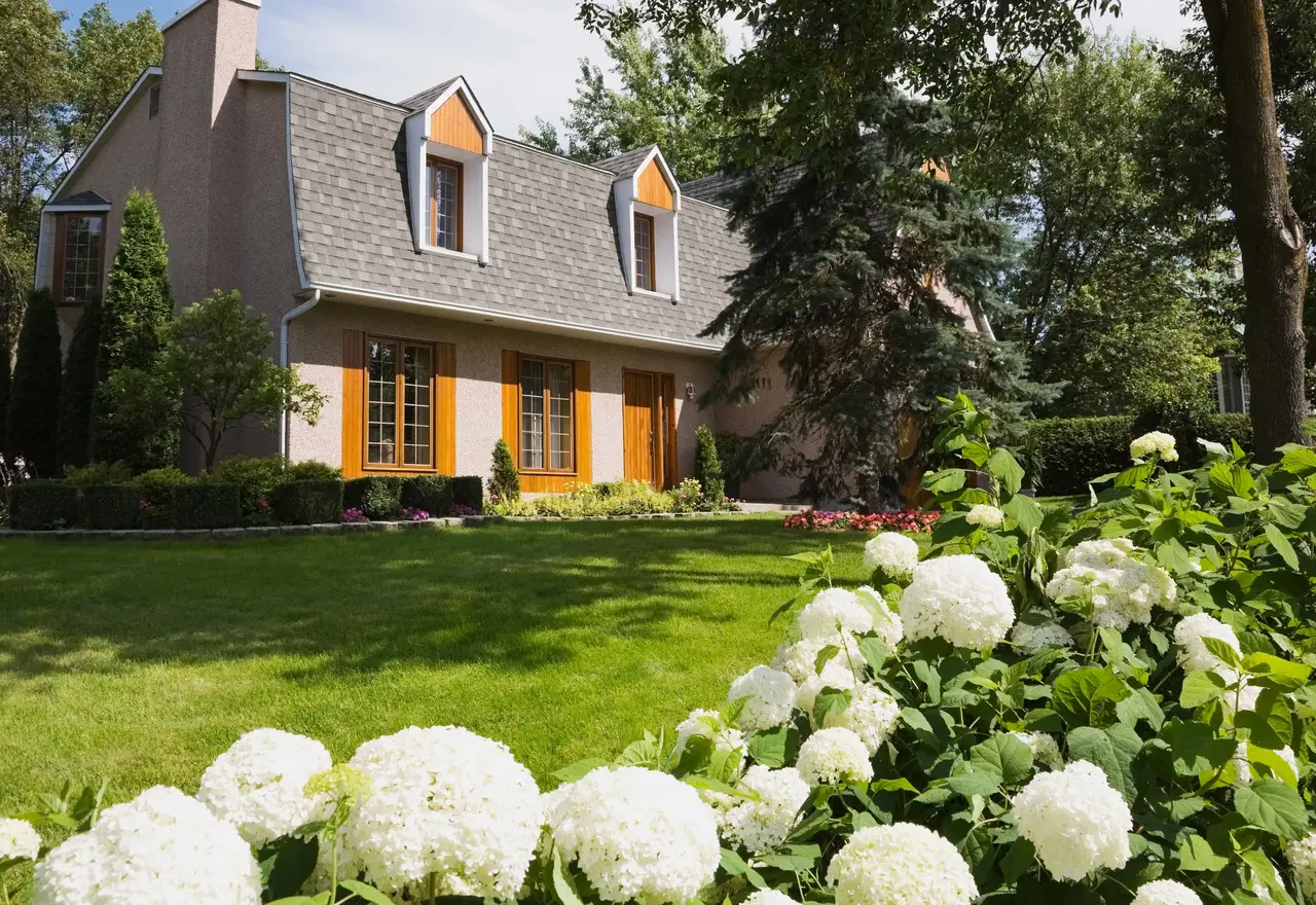 Freshly mowed green lawn and landscaping at a home in Greenville, NC