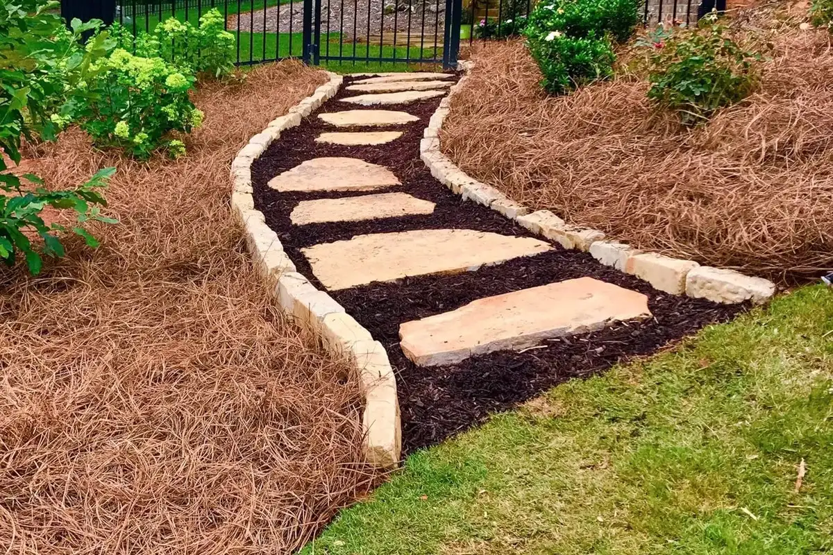 Neatly spread pine straw around shrubs on a Greenville, NC property